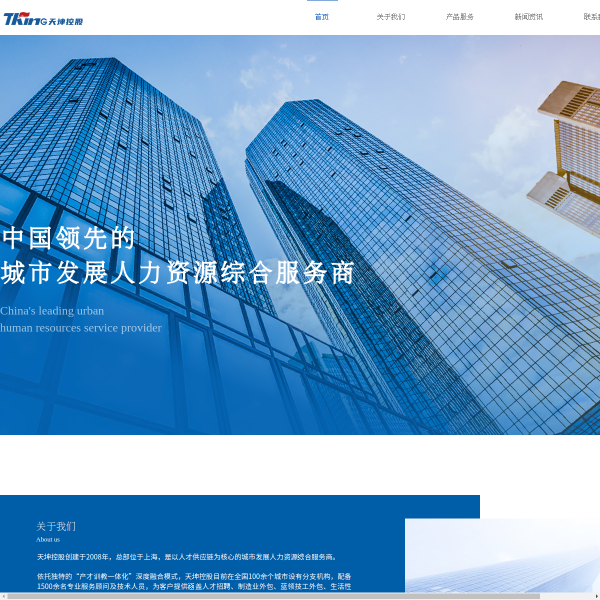 Website preview of tking associates
