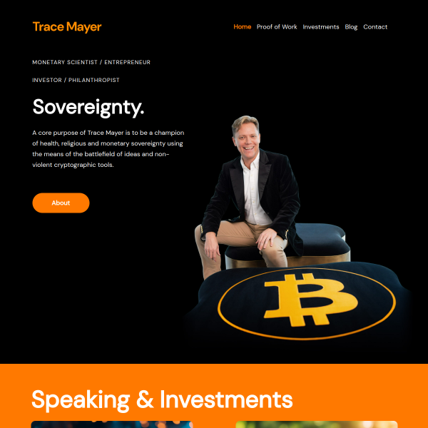 Website preview of Trace Toys