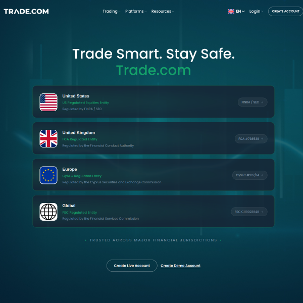 Website preview of TRADE FINANCE SOLUTIONS LIMITED