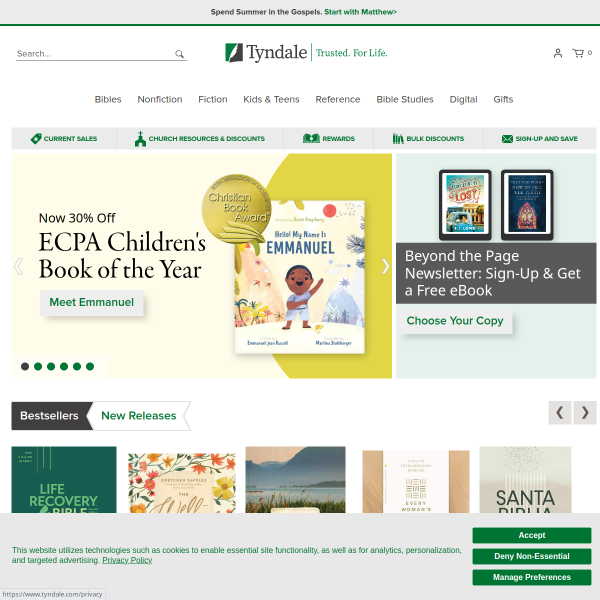 Website preview of TYNDALE SECURITIES LIMITED