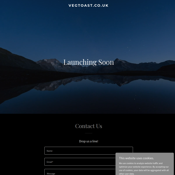 Website preview of VEGTOAST LTD
