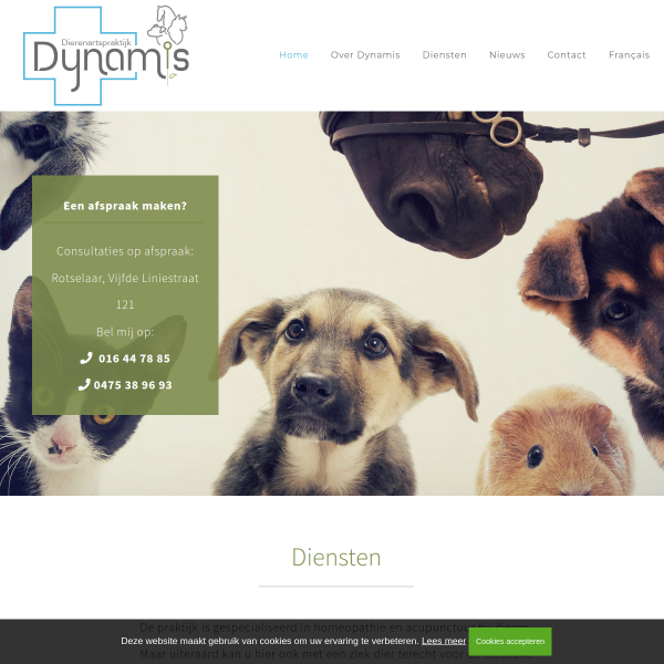 Website preview of verkinderen, annelies
