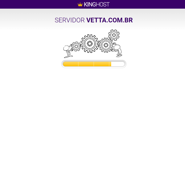 Website preview of VETTA ESTUDIO DE PILATES E PERSONAL TRAINER LTDA