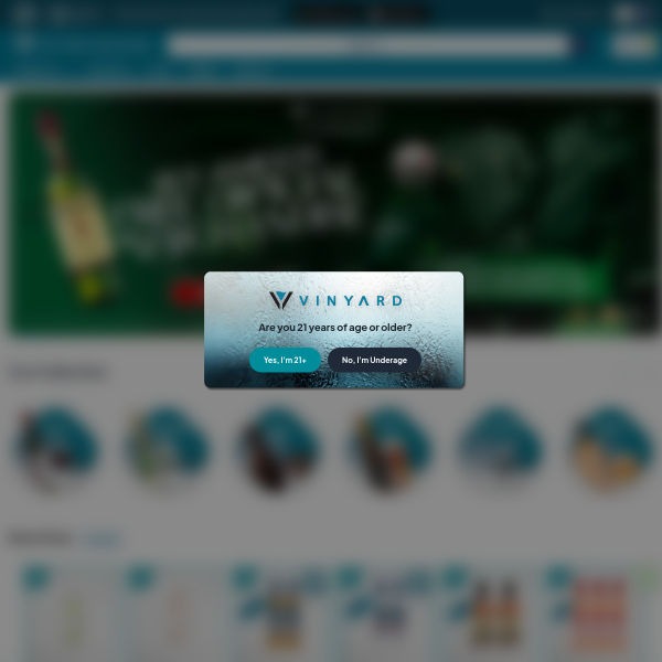 Website preview of VINYARD DOORS INC