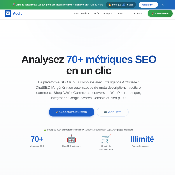 Vraivex Audit - SaaS SEO