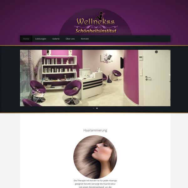 Website preview of Wellnekss