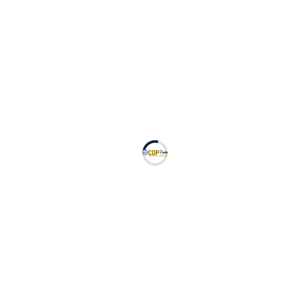 Paradise Media Hub