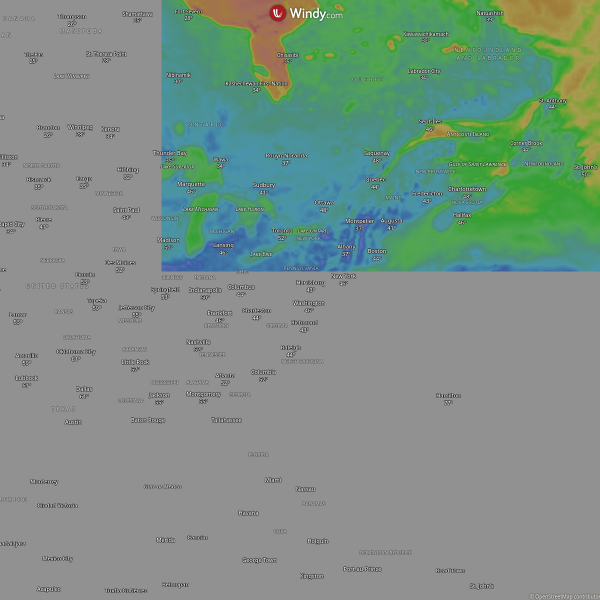 Live Weather