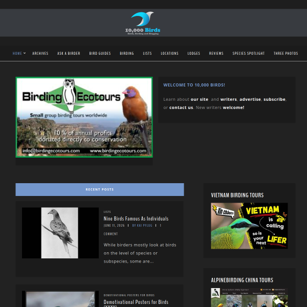 10000birds.com