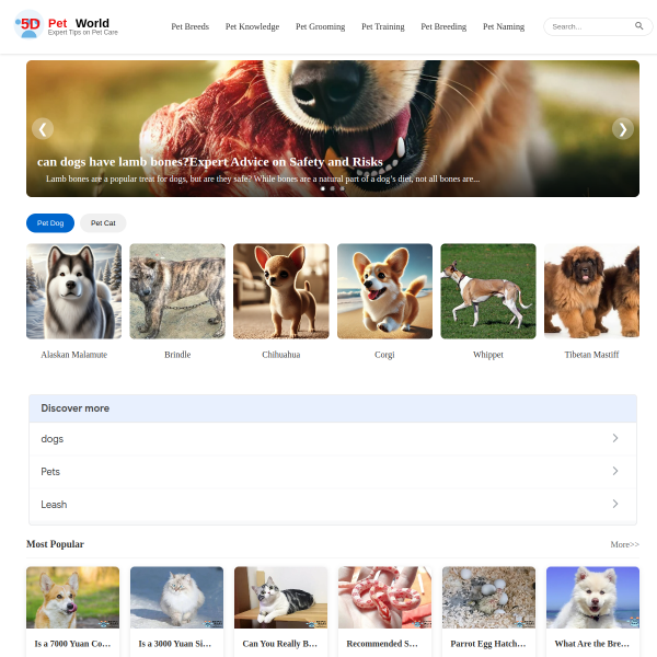 5dpet.com