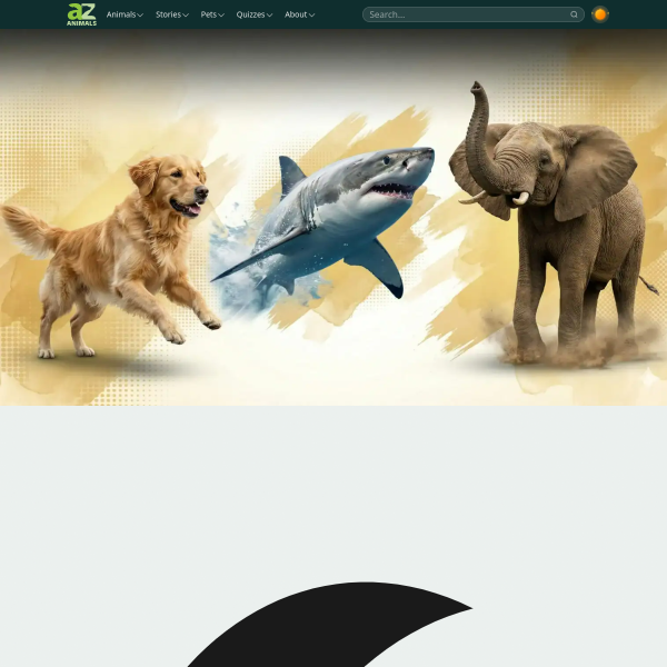 a-z-animals.com