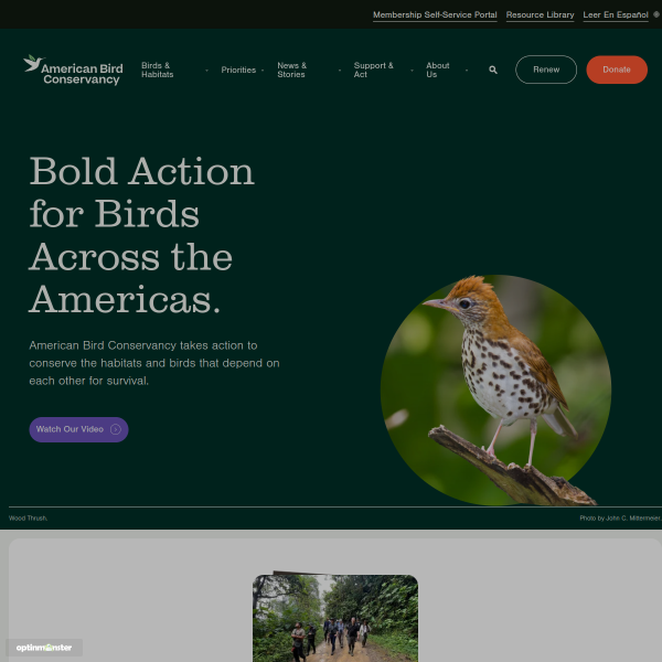 abcbirds.org