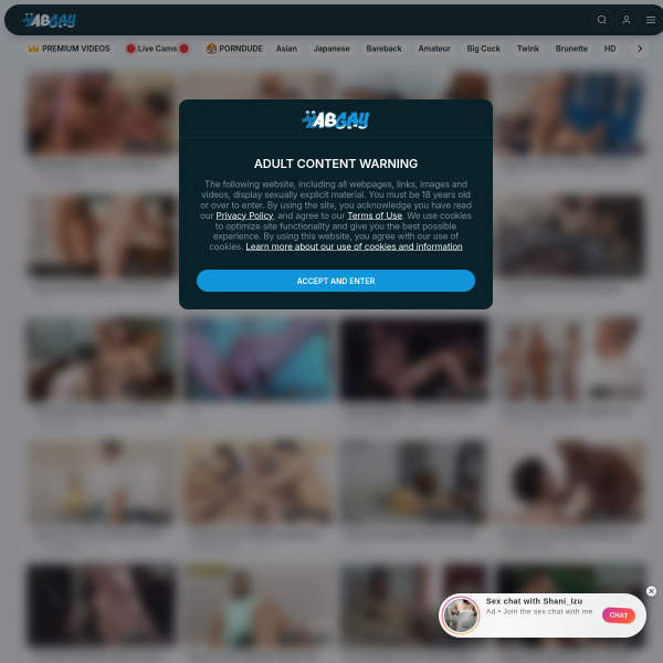abgay.net