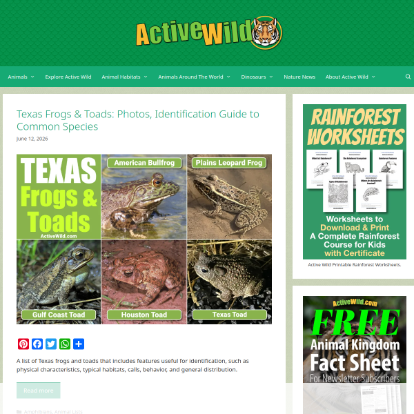 activewild.com