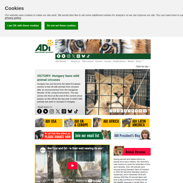 ad-international.org