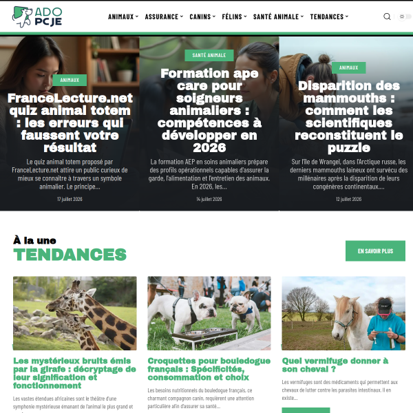 adopcje.org