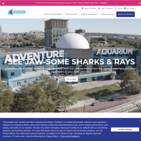 adventureaquarium.com