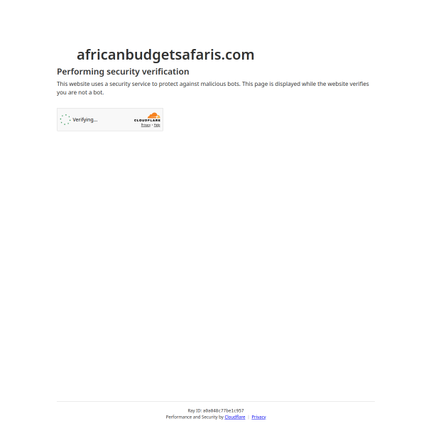 africanbudgetsafaris.com