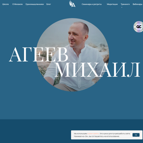 ageev.school
