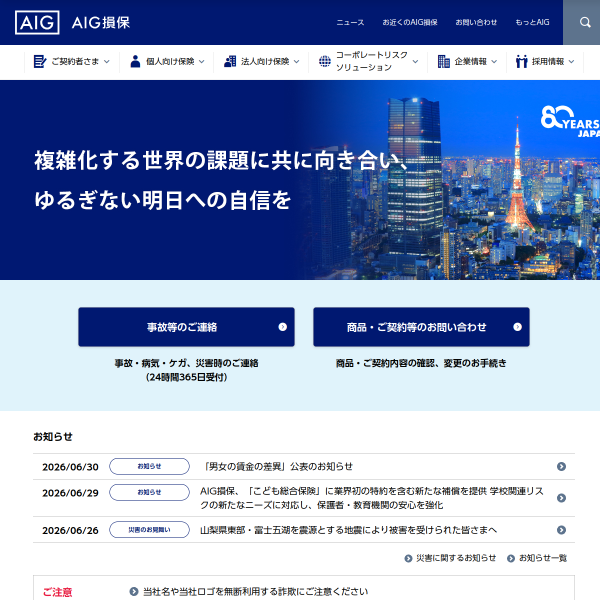 aig.co.jp