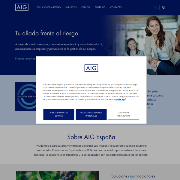 aig.com.es