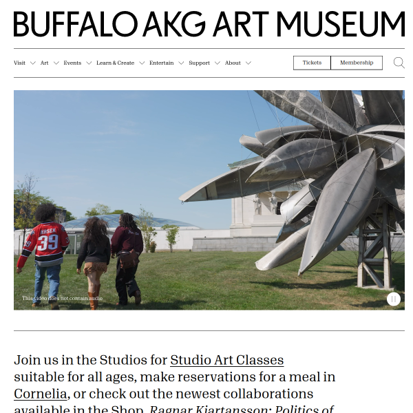 albrightknox.org