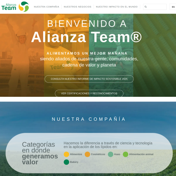 alianzateam.com