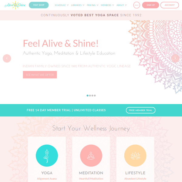 aliveandshine.com