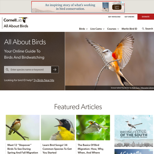 allaboutbirds.org