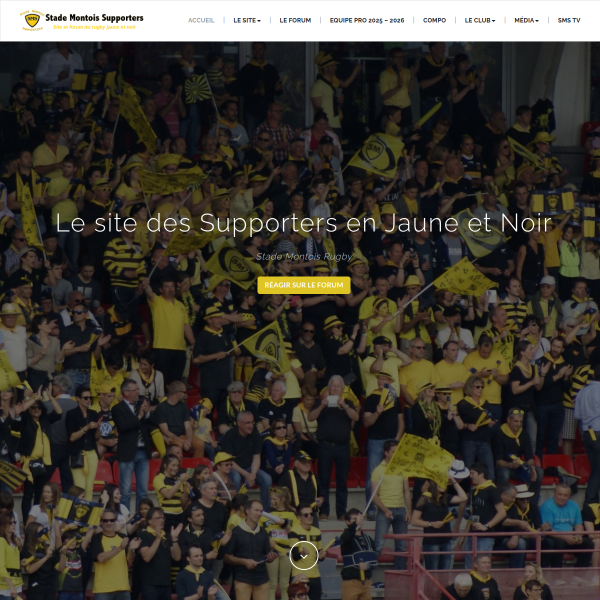 allezlestademontois.fr