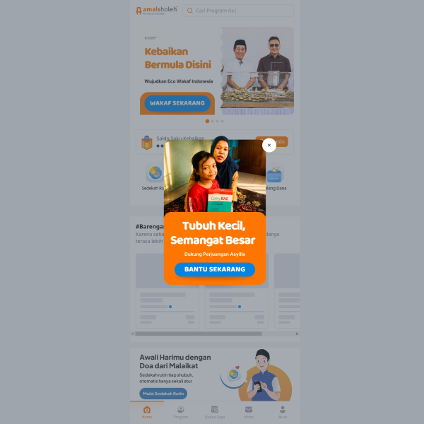 amalsholeh.com