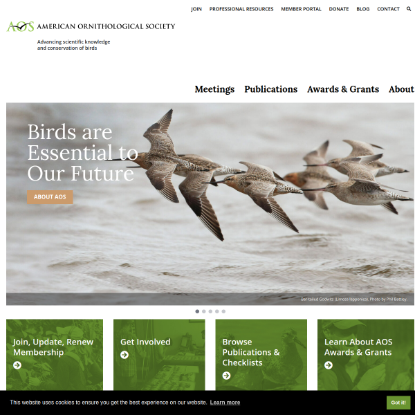 americanornithology.org