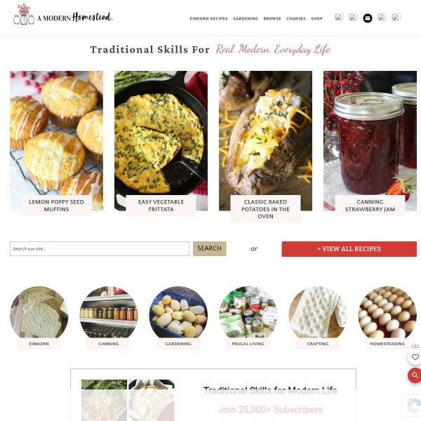 amodernhomestead.com