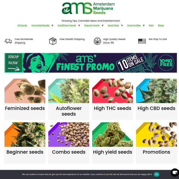 amsterdammarijuanaseeds.com