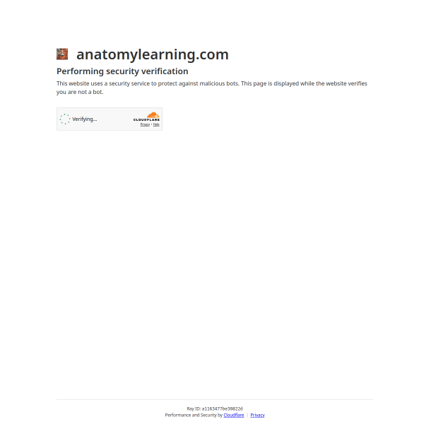 anatomylearning.com