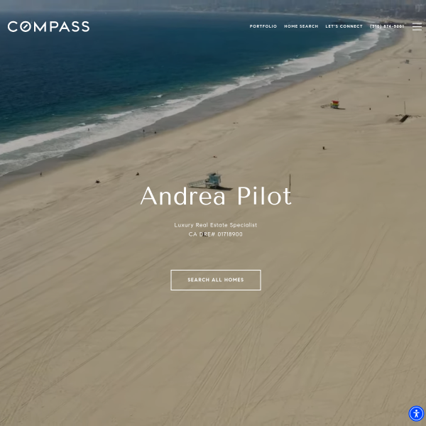 andreapilot.com
