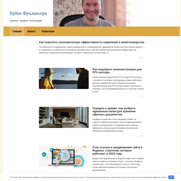 andreimikushkin.ru