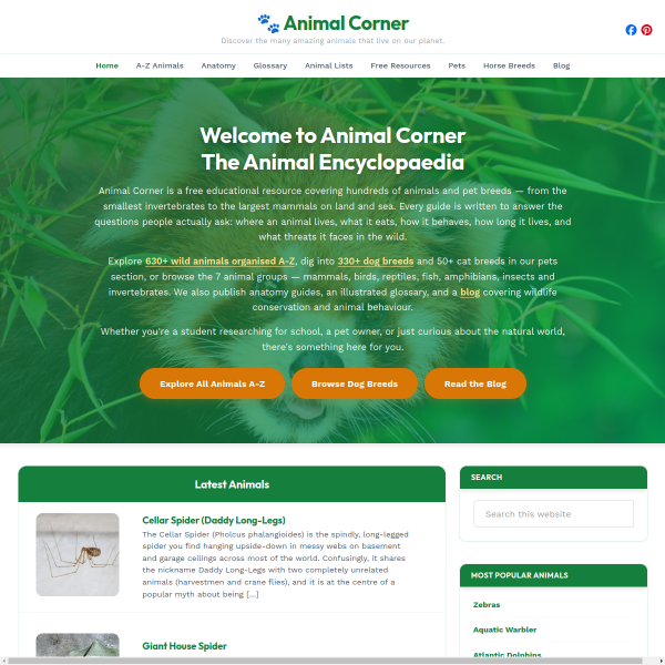 animalcorner.org