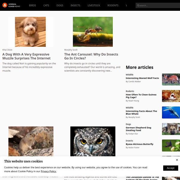 animalgoodnews.com
