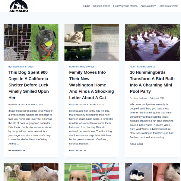 animalko.com