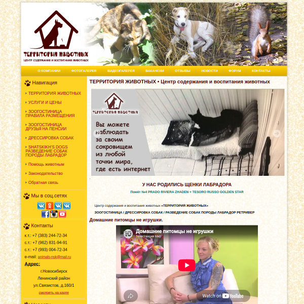 animals-nsk.ru