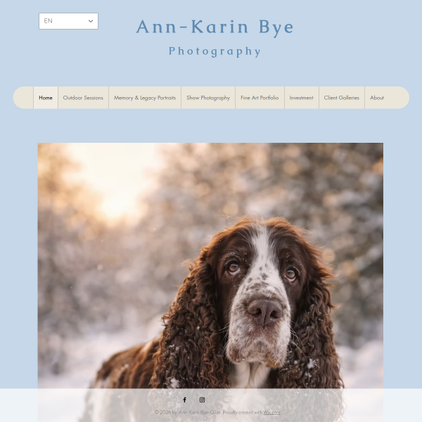 ann-karinbye-gildephotography.com