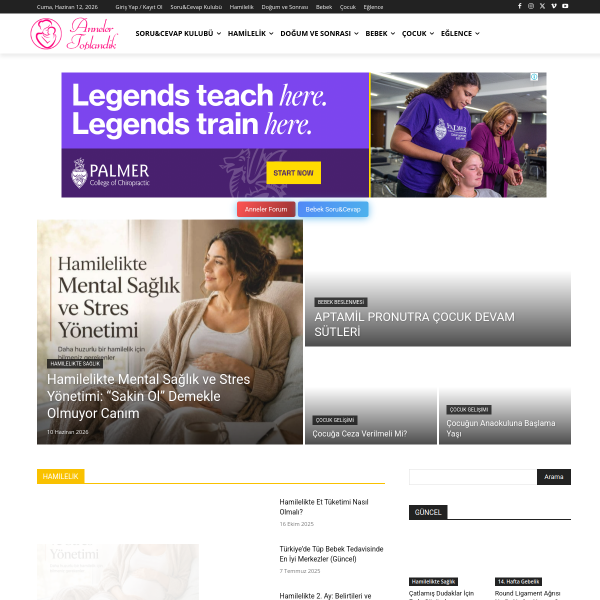 annelertoplandik.com