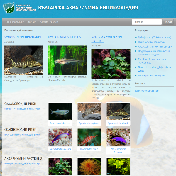 aquariumbg.com