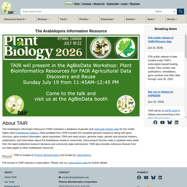 arabidopsis.org