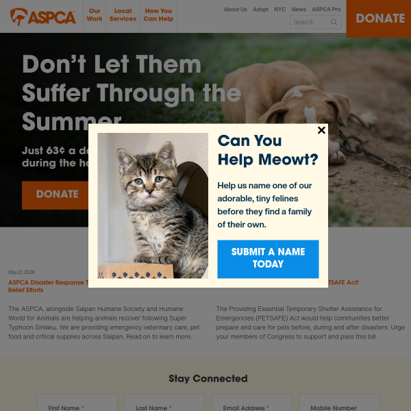 aspca.org