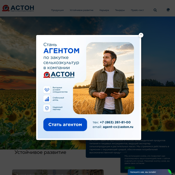 aston.ru