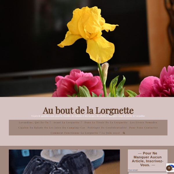 auboutdelalorgnettelavietoutsimplement.fr
