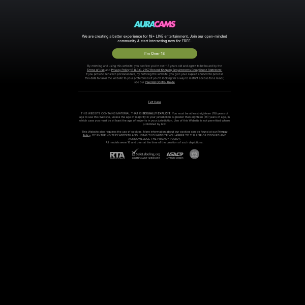 auracams.com