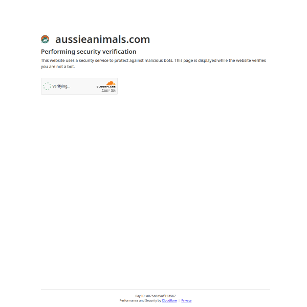 aussieanimals.com
